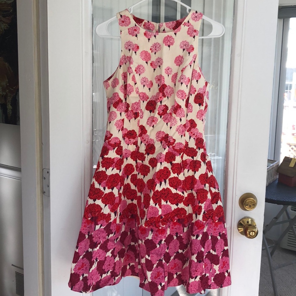 Poppy Maggy London dress with pockets!